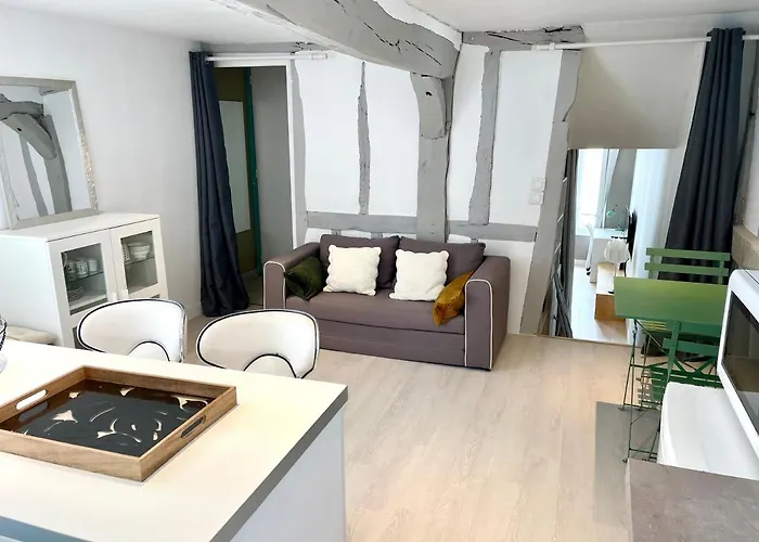 La Porte Cauchoise - Hypercentre Coquet Branche