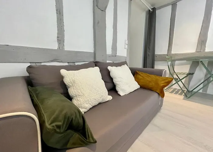 Lejlighed La Porte Cauchoise - Hypercentre Coquet Branche *